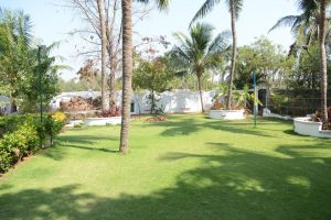 Beach Houses in ECR