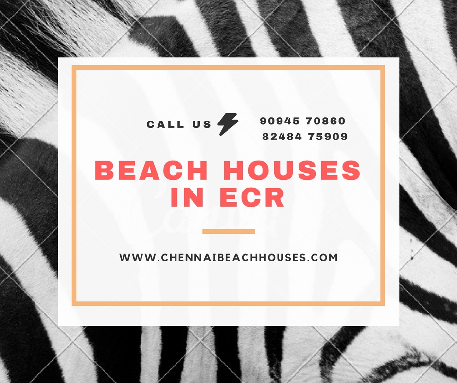 Read more about the article Beach Houses in ECR